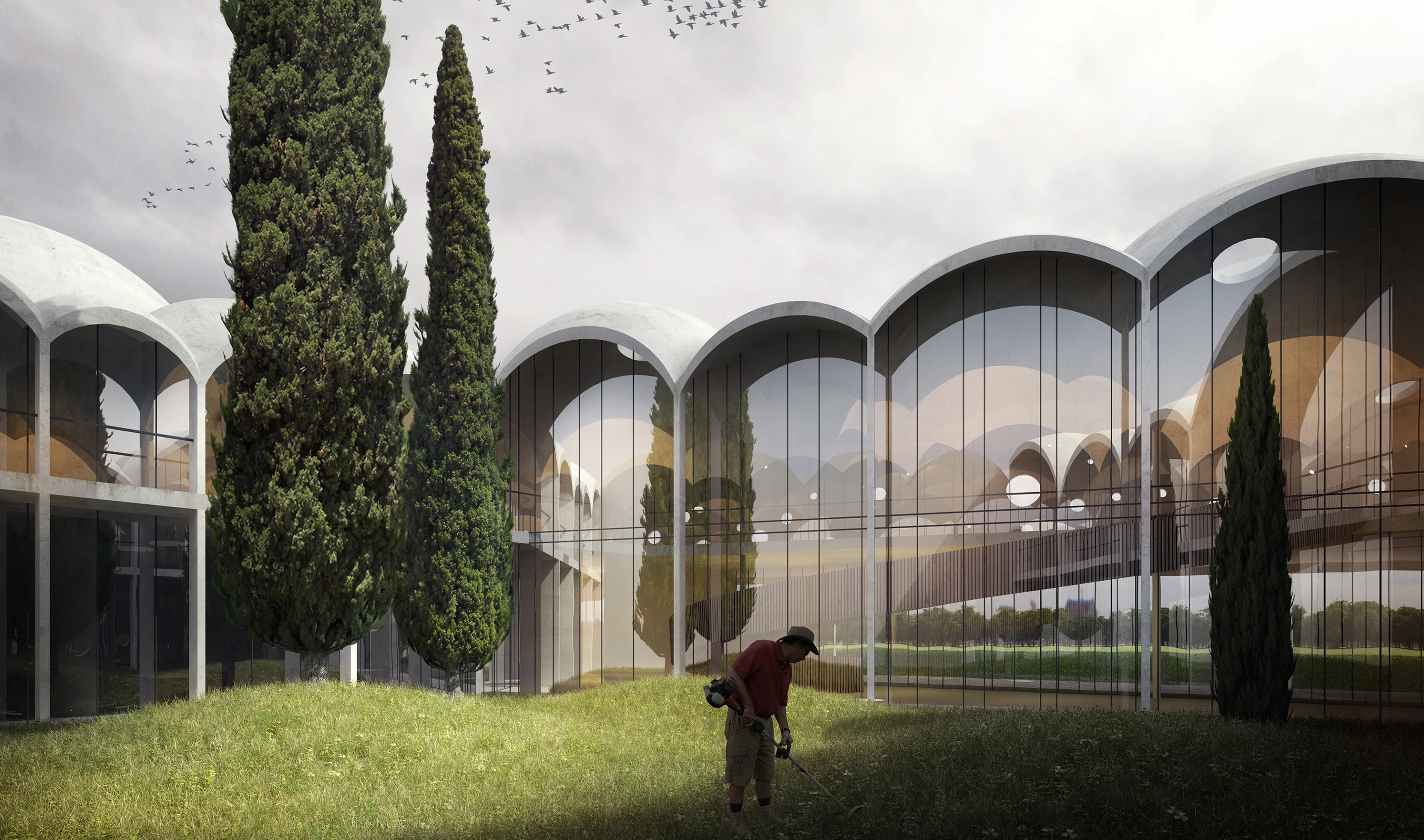 Wine culture centre set behind rows of grapevines.
